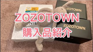 【開封動画】　ZOZOTOWN購入品紹介　ツイステッドワンダーランド　ディズニー