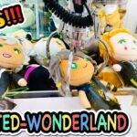 【TWISTED-WONDERLAND】Claw Machine in Japan !! Cute DOLL !! UFO キャッチャー ツイステッドワンダーランド ぬいぐるみ
