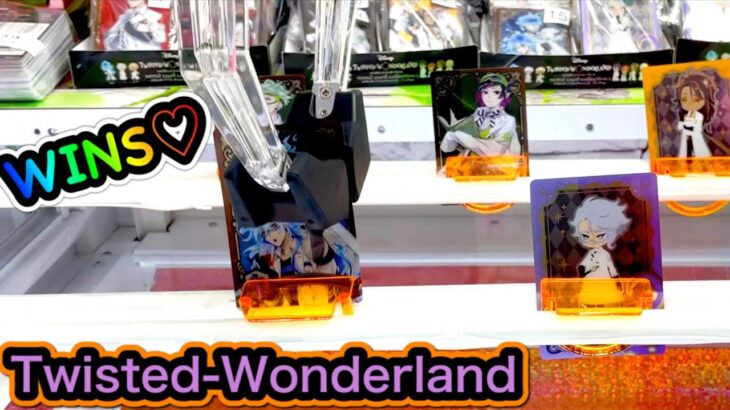 【TWISTED-WONDERLAND】Claw Machine in Japan !! Cute Prizes !! UFO キャッチャー ツイステッドワンダーランド メタルカードコレクション