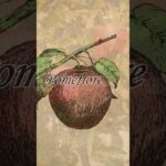 Pomefiore Dorm Holiday ver – (RUKA Remix) / ポムフィオーレ寮 Twisted Wonderland リミックス #shorts