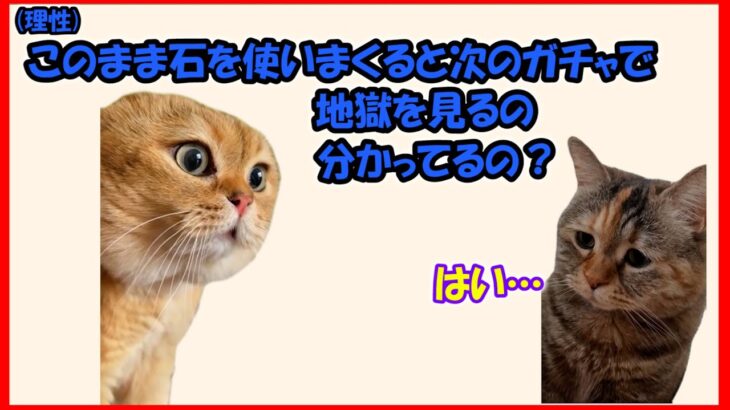【猫ミーム】ツイステの例のすり抜け地獄ガチャをネタ動画にしてみました【ツイステ】