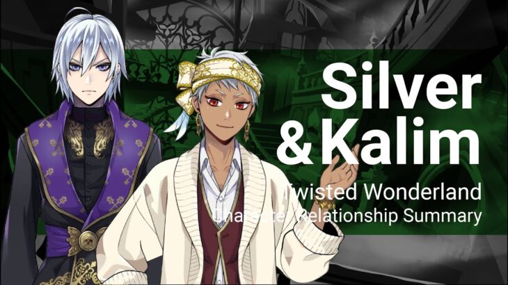 Silver and Kalim Relationship Summary (Twisted Wonderland)