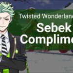 Sebek and Compliments (About Twisted Wonderland)