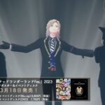 「ディズニー ツイステッドワンダーランド Fes.」2023イベントディスク 視聴動画