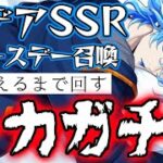 【ツイステガチャ】元祖推し!!イデア氏絶対お迎え召喚【なにその顔】