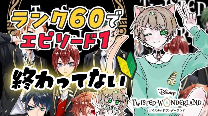 【ツイステ/初見】エピソード1が終わらずランクが60になってしまった件について📚 ツイステ#3【初心者】【ディズニー ツイステッドワンダーランド/ストーリー進行】【ゲーム実況】