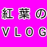 【ディズニーツイステッドワンダーランド】トレイ先輩お菓子つくって！！！【ガチャ配信】