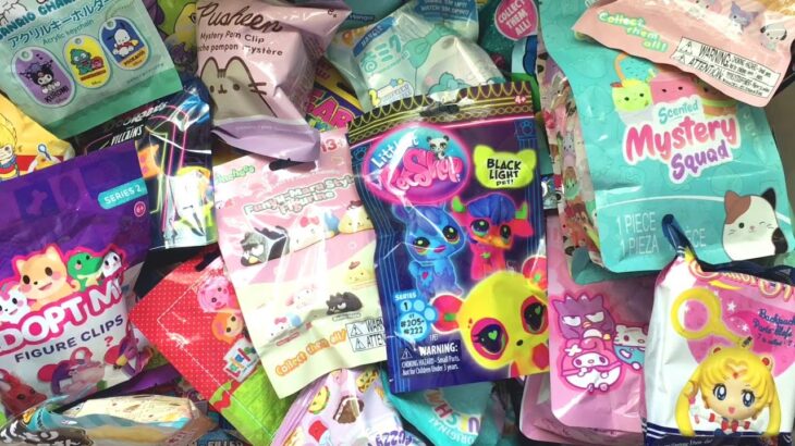Opening Blind Bags Squishmallows Mystery Squad, Pusheen, Cinnamoroll LPS Twisted Wonderland, Pop-Its