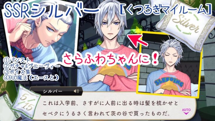 【ツイステ】何も言われなければ鳥の巣ヘアーだったってコト⁉ ︎SSRシルバー ［くつろぎマイルーム］パソスト/ガチャ&グルーヴィー/ボイス集/DUO魔法（エースと）