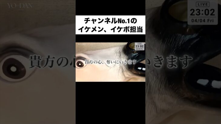 配信が馬にジャックされました #白馬風馬 #歌ってみた #shorts