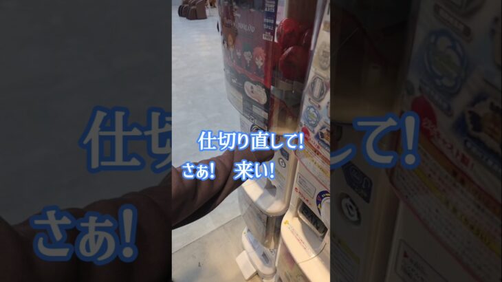 【twst】カプセルトイ回したよ②#ハーツラビュル寮 #ツイステ #肩ズンfig.