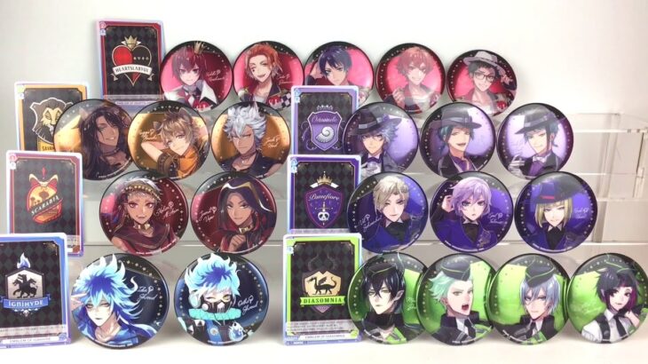 Get to Know the Boys of Disney Twisted Wonderland While Opening a Full Blind Box Set + Blind Bags✨