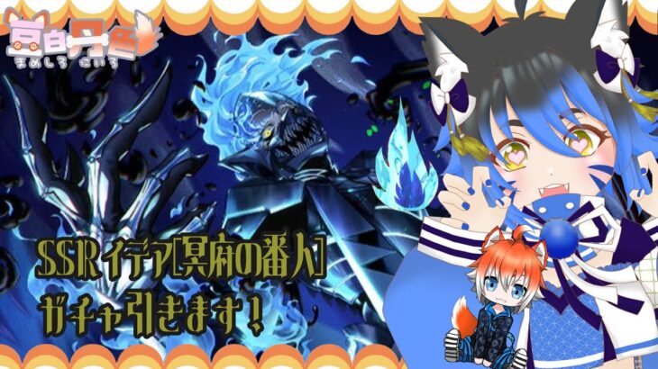 【ツイステ】イデア[冥府の番人]出るまで引く【実況配信】　#新人Vtuber #豆白丹色