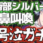 【ツイステガチャ】馬術部シルバー、衝撃すぎる結果になりました【クラブウェア】