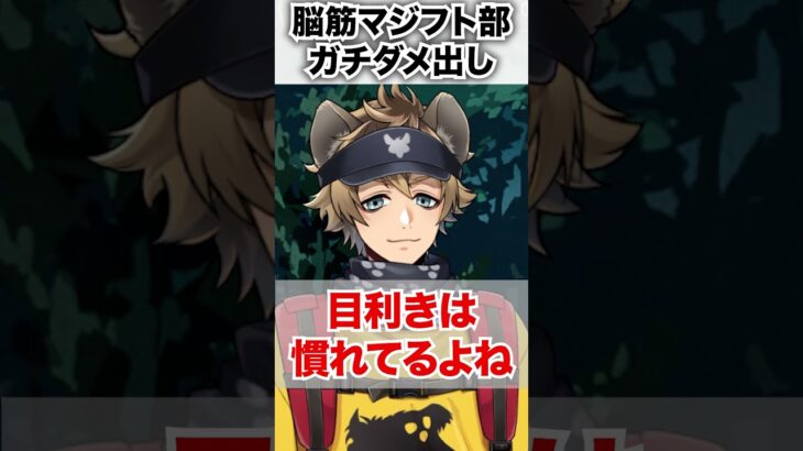 【ツイステ】マジフト部の脳筋に呆れるラギー【ラギー アウトドアウェア】#エペル#レオナ#バルガスキャンプ#バルキャン#マジフト部#ツイステ#ツイステッドワンダーランド#ゲーム実況#チマ
