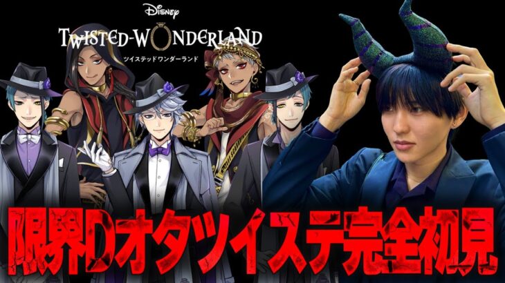 【ツイステ】グッズ開封してプロフィール見る限界Dオタ【完全初見】
