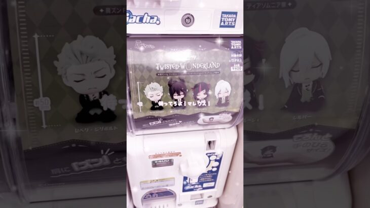 ‪‪❤︎‬ オタ活Vlog ‪‪❤︎‬ ディアソの肩ズンガチャ回してきた~🌟🎶 #ツイステ #ツイステッドワンダーランド #オタ活 #vlog