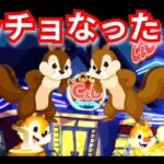 『ツイステ：ハッピーポップコーン（１）』チップとデール可愛い【ツイステッドワンダーランド/twistedwonderland】#ゲーム配信 #event #gameplay #スマホゲーム #イベント