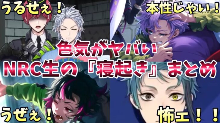 【ツイステ】可愛いし尊いし怖い…NRC生の色気半端ない「寝起きシーン」まとめ！　くつろぎマイルームまとめ【ツイステッドワンダーランド】 【Twisted-Wonderland】