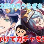 【追跡】白うさぎになった推しを追いかけた結果…【ツイステ】