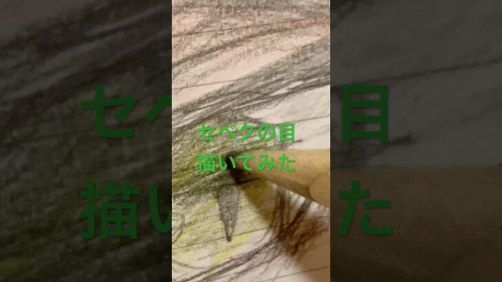 ディアソ寮曲のぜベクの目描いてみた！ #ツイステ
